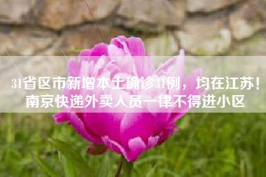 31省区市新增本土确诊31例,均在江苏!南京快递外卖人员一律不得进小区