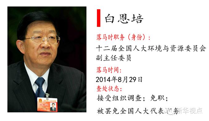 十八大以来落马的55个“大老虎”