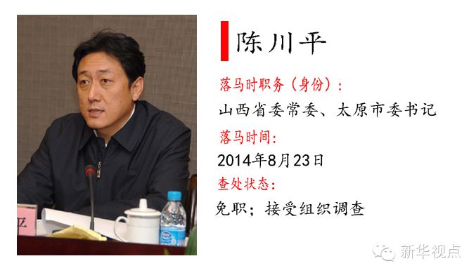 十八大以来落马的55个“大老虎”