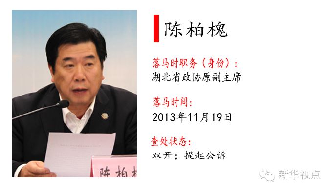 十八大以来落马的55个“大老虎”