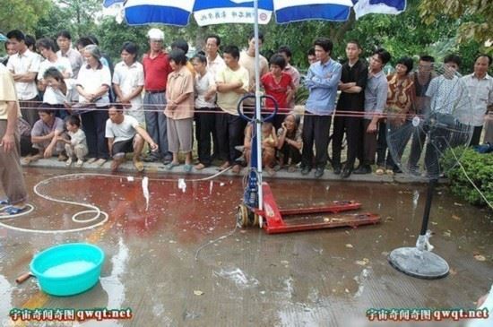 揭秘水库巨型吃人鲶鱼事件真相（图）