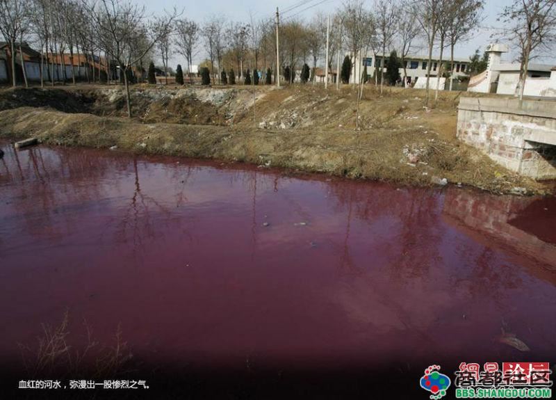 走进河南癌症村 富人制造的污染穷人买单！（图组）