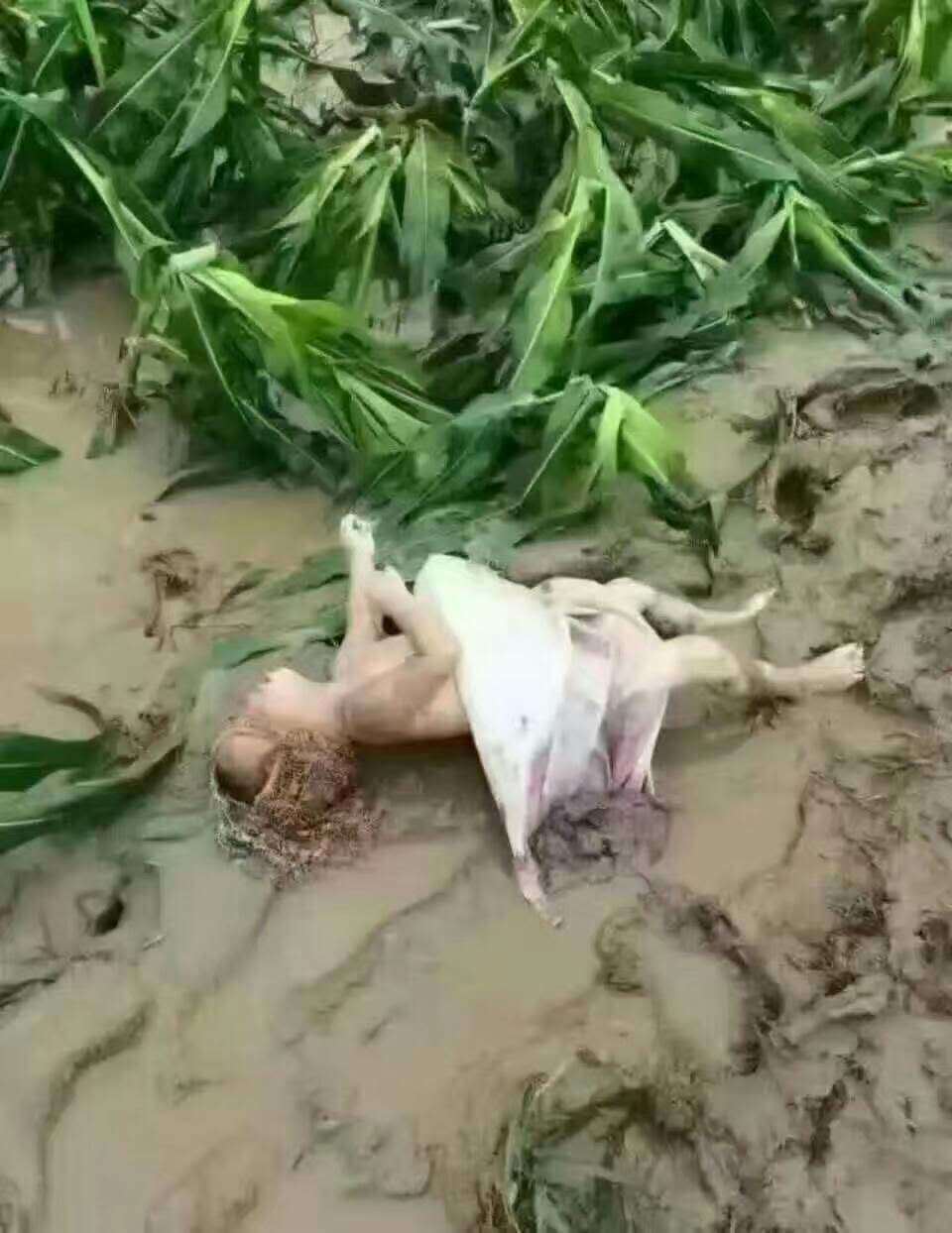 河北邢台官员隐瞒泄洪致几十人死亡真相，动用几百警察维稳上访群众