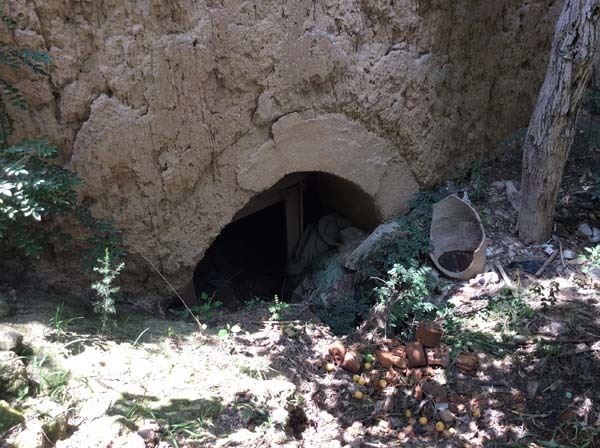 令氏兄弟背后：平陆“令狐大家族”