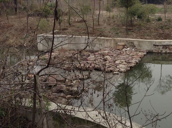 实拍周滨之父周元根的故里（图）