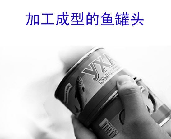 中国最大的“渔业航母”——“海南宝沙001号”