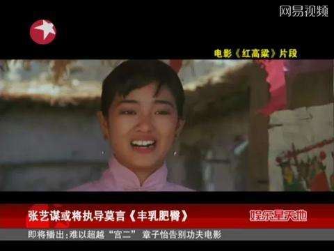 《丰乳肥臀》将改编网剧女主选宁静还是徐冬冬，网友：难以抉择