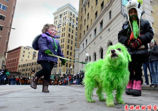 美国的“绿帽节”--圣帕特里克节