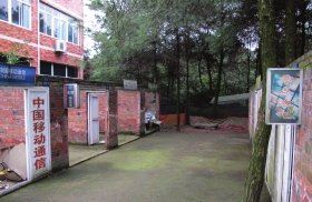 重庆打黑基地被曝刑讯凶残:打死了有王立军
