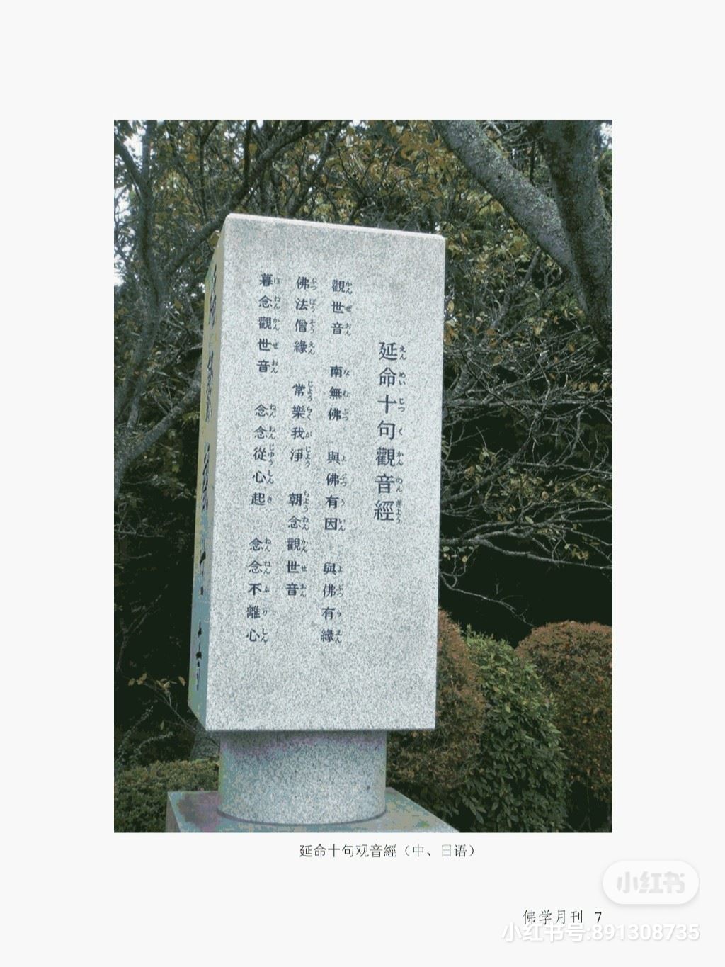 十句观音经