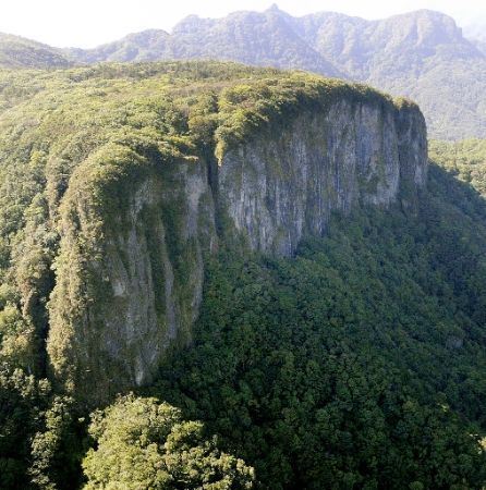 蜡笔小新作者死亡现场惨不忍睹 有自杀可能