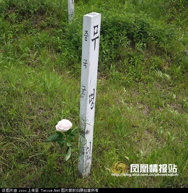 韩国为什么善待志愿军遗骸？