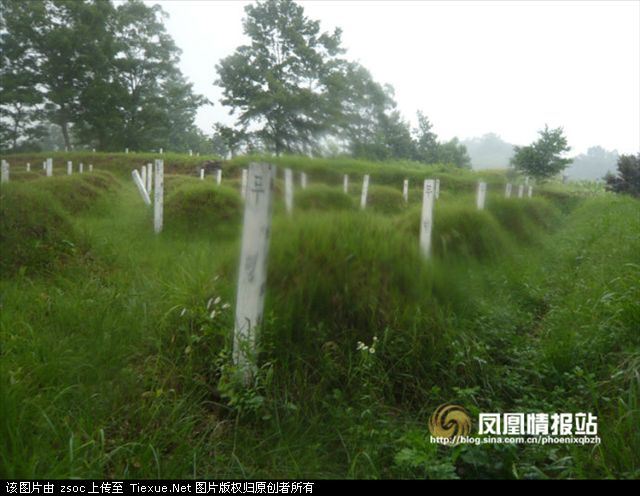 韩国为什么善待志愿军遗骸？