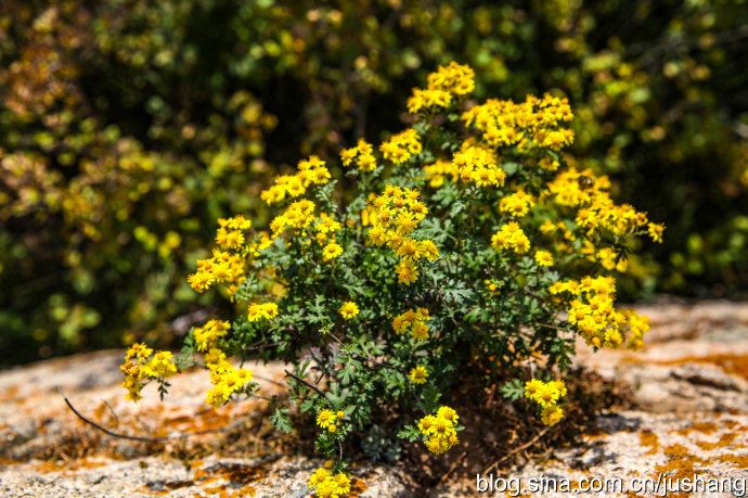 实拍：带你走进河北涞源野长城