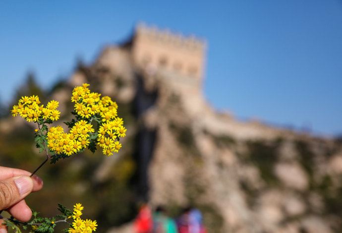 实拍：带你走进河北涞源野长城