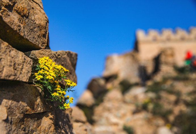 实拍：带你走进河北涞源野长城