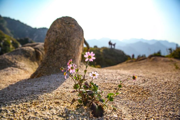 实拍：带你走进河北涞源野长城