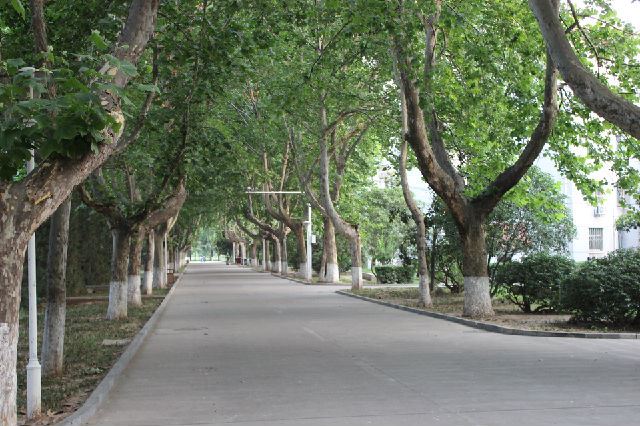 工程兵学院70年的辉煌历程