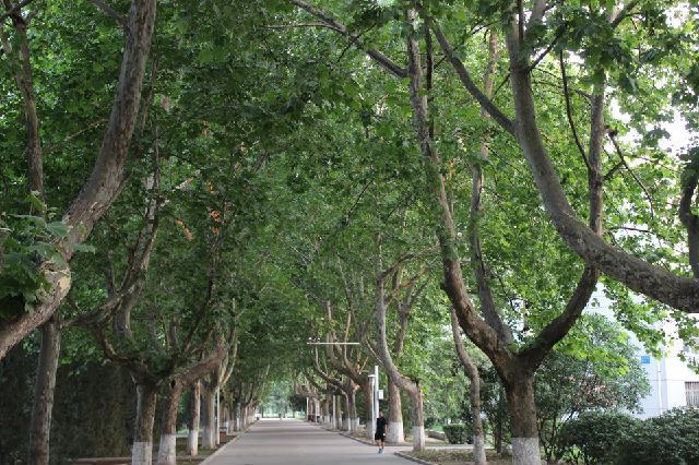 工程兵学院70年的辉煌历程