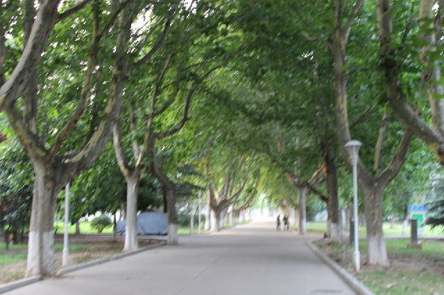 工程兵学院70年的辉煌历程