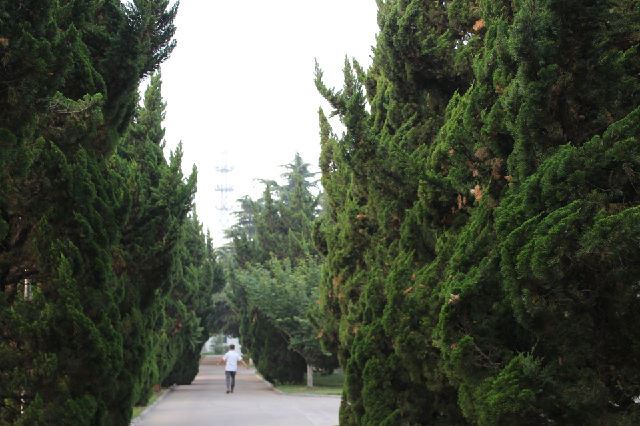 工程兵学院70年的辉煌历程
