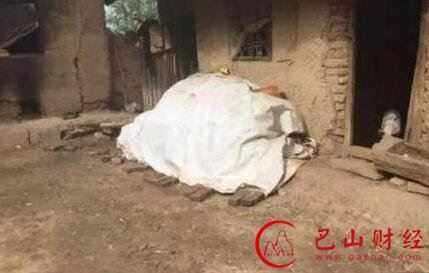 中国人，你能否理解杨改兰对生命回答的苦痛？