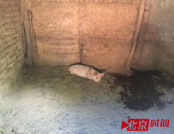 中国人，你能否理解杨改兰对生命回答的苦痛？