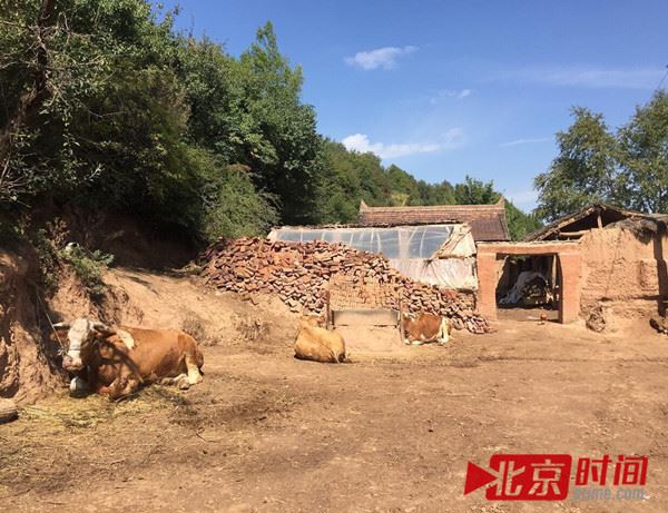 中国人，你能否理解杨改兰对生命回答的苦痛？