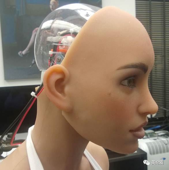 性爱机器人已经拥有人工智能！和它们“过日子“是种怎样的体验...