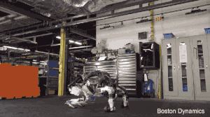 性爱机器人已经拥有人工智能！和它们“过日子“是种怎样的体验...