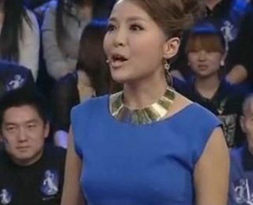 央视女主播激凸走光大盘点(图)