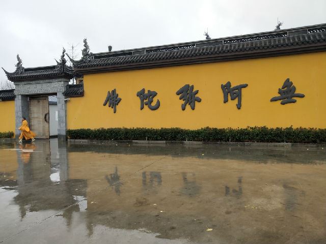 雨中游上海长寿禅寺