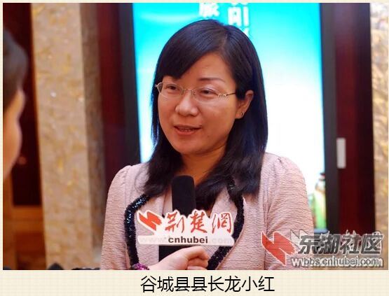 看谷城县长简历，一年一升级业绩令人疑惑