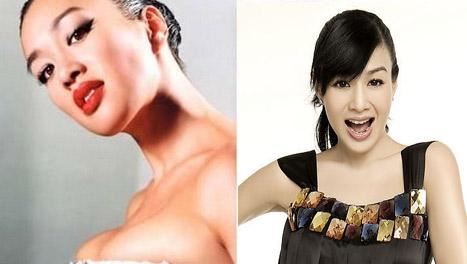 盘点胸部严重缩水的十大女星（图）