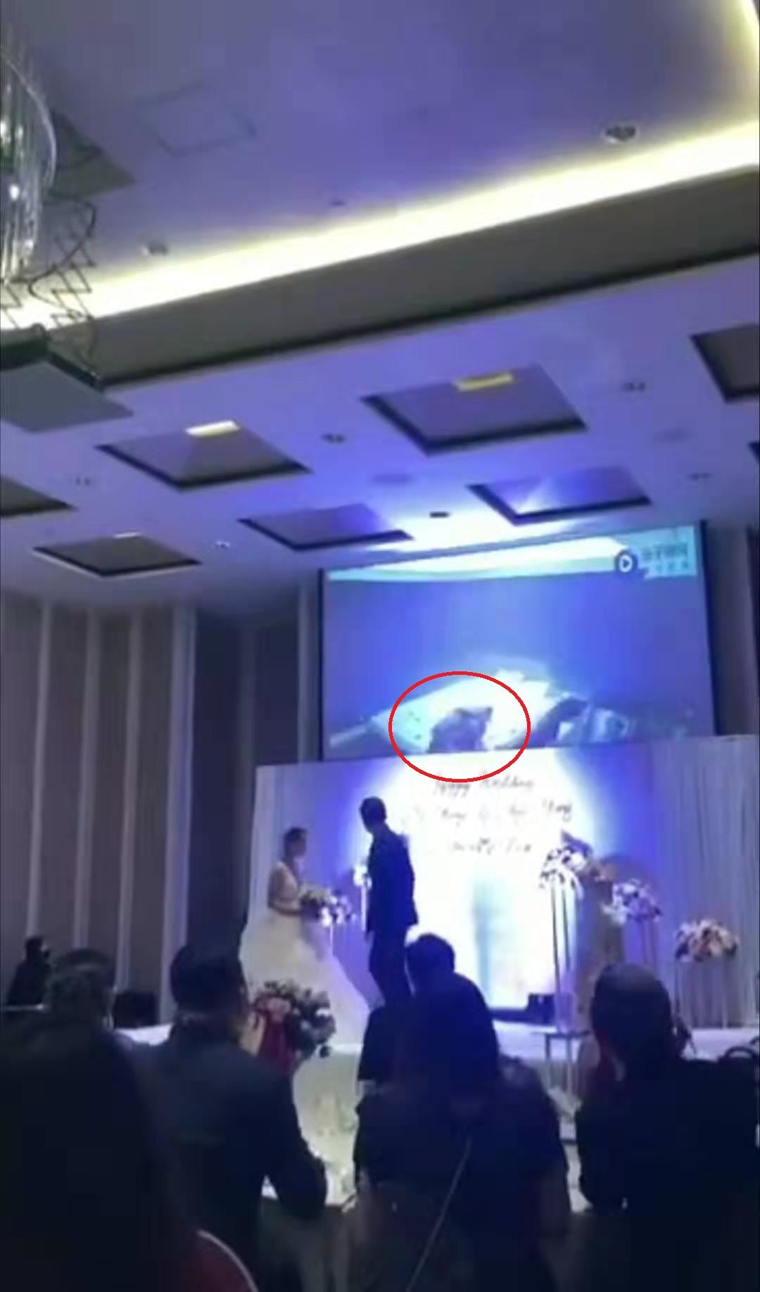 “姐夫门”：新郎婚礼上扒皮新娘事件真相全解读