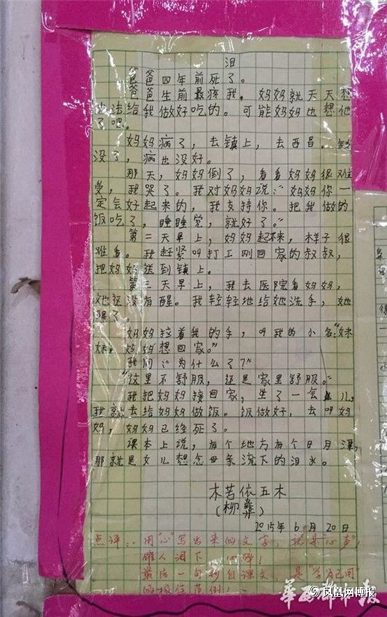 木苦依五木的作文