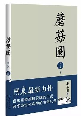 2015年度中国30本好书出炉