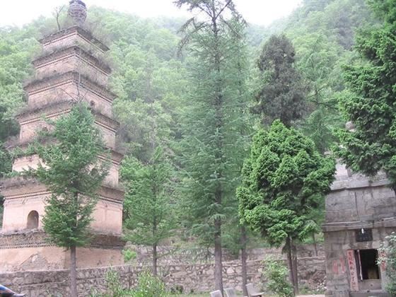 终南山,说不尽的“隐士文化”