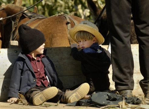感受美国现代社会的原始部落---AMISH