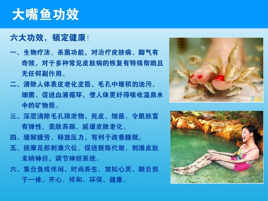 最全养生，鱼疗用的是什么鱼？养生馆的鱼疗对人有什么好处？