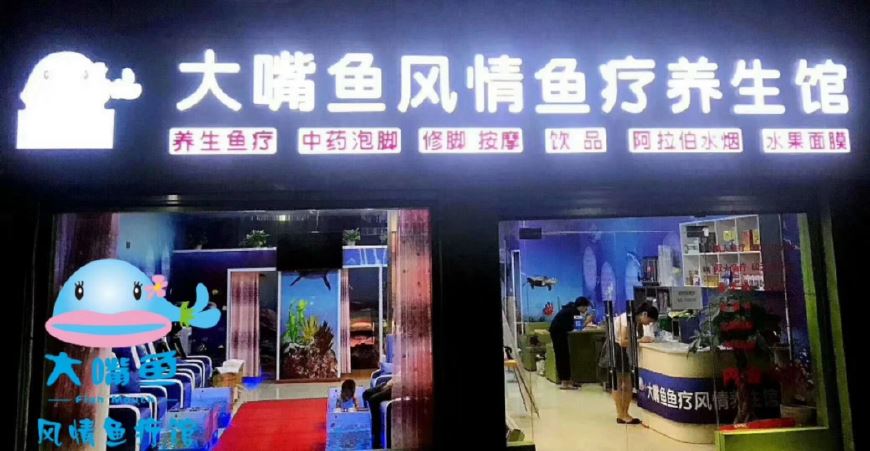 最全养生，鱼疗用的是什么鱼？养生馆的鱼疗对人有什么好处？