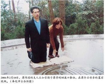 与政治渐行渐远的蒋家后代们