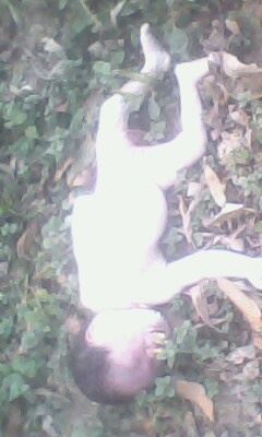 《河南省、平舆县——发现被人狠心抛弃的女婴（死婴）》