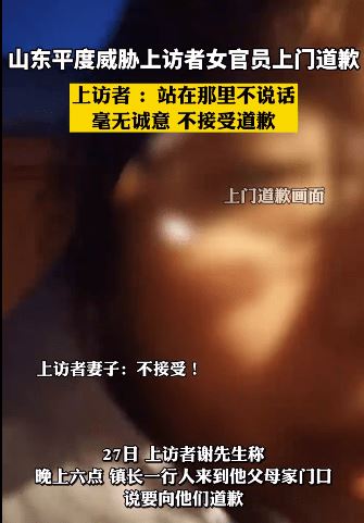 平度市王丽恐吓群众为什么没有被“刑事”?