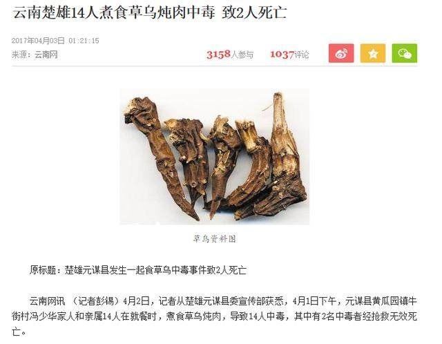 草乌草乌，吃了一命呜呼！