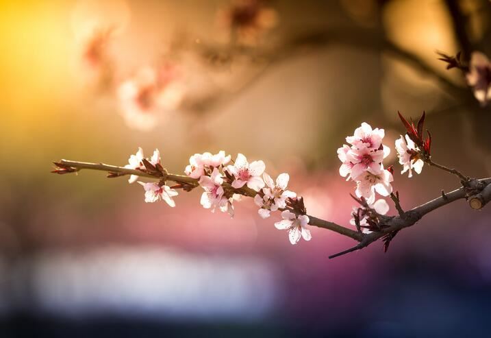 钟汉良日记:有人,就有市场!