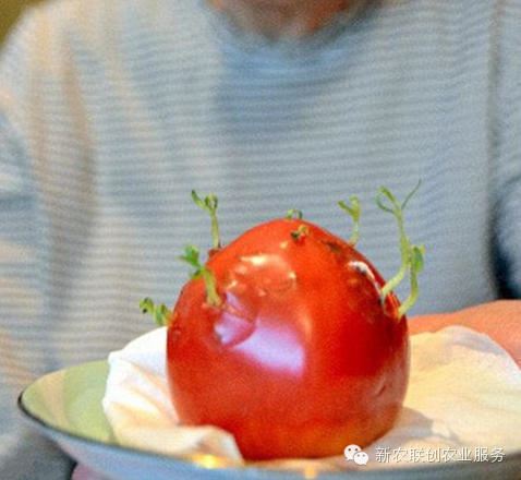 日本人因当年核辐射已经变异！