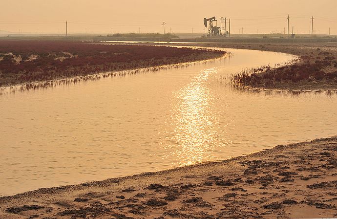 胜利油田