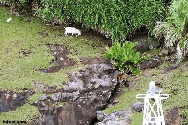 谁来保护钓鱼岛的生态环境？