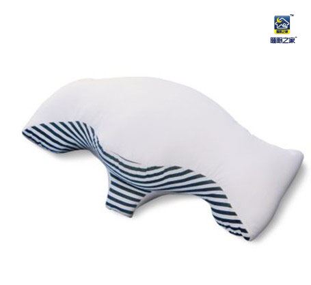 斯诺分 打鼾者的朋友